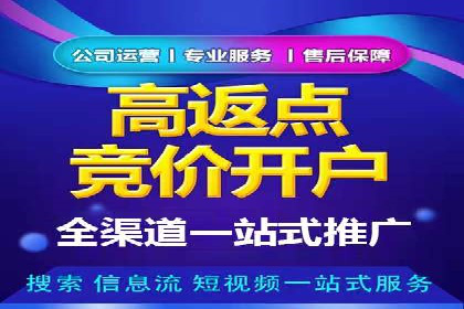 竞价广告的投放策略与效果评估——以一成功企业为例